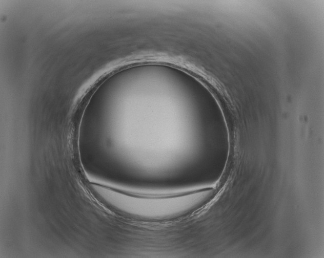 X0000085041502200703121420