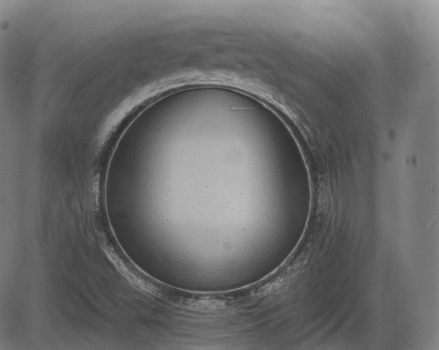 X0000085041503200703121420