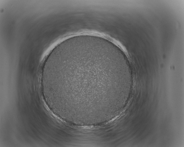 X0000085041504200703121420