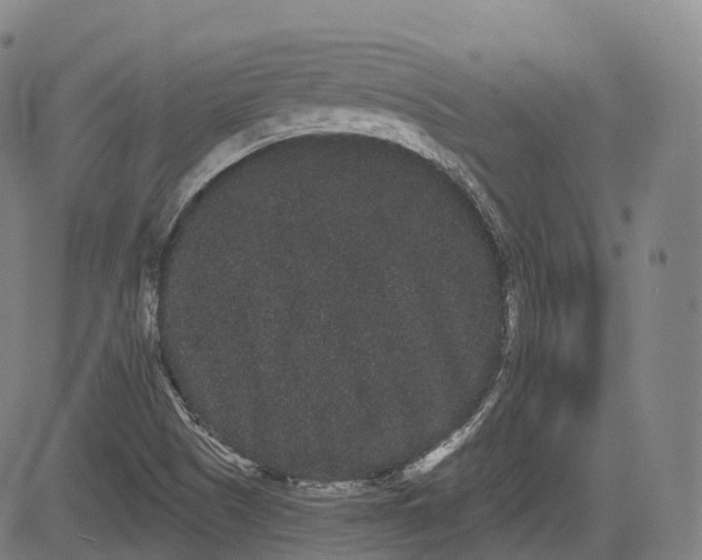 X0000085041505200703121420