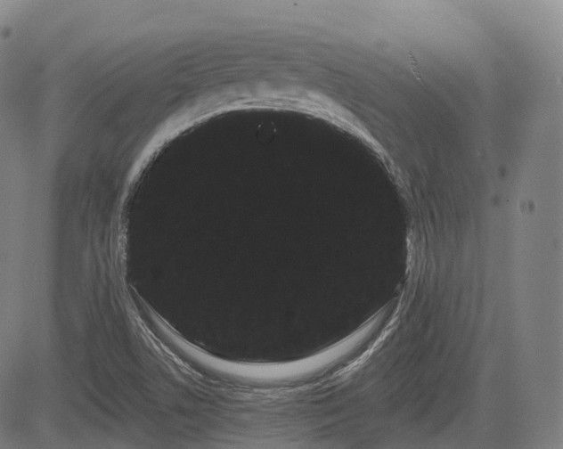 X0000085041506200703121420