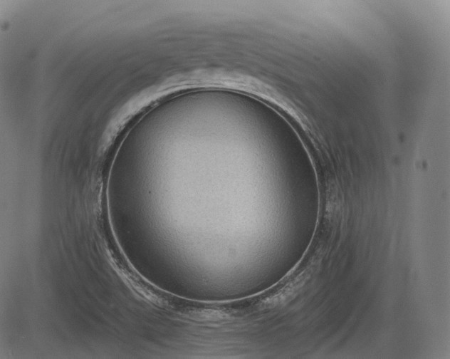 X0000085041507200703121420