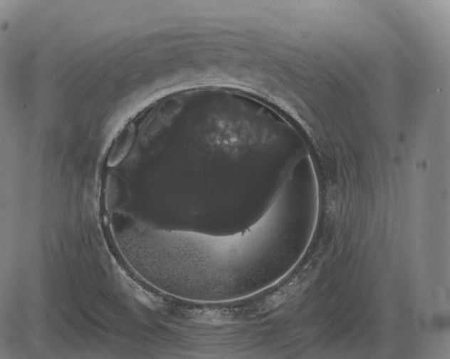 X0000085041508200703121420