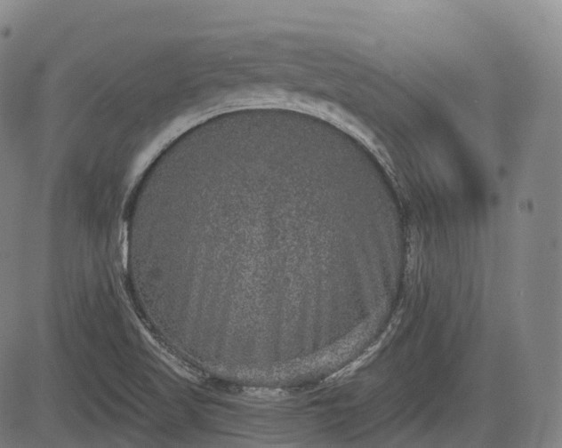 X0000085041509200703121420