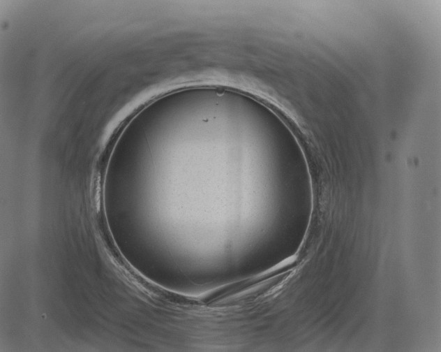 X0000085041510200703121420