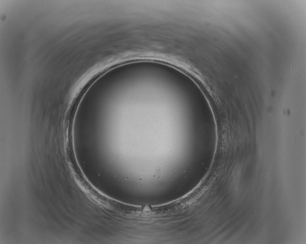 X0000085041511200703121420