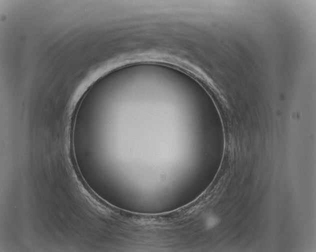 X0000085041512200703121420