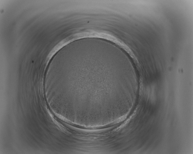 X0000085041513200703121420