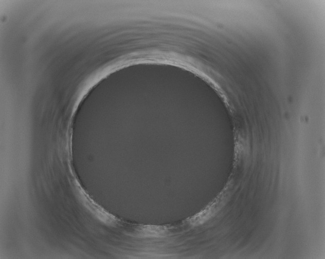 X0000085041514200703121420