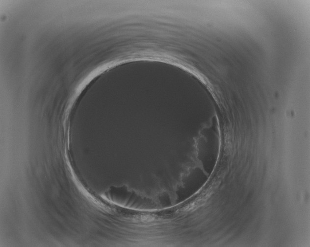 X0000085041515200703121420