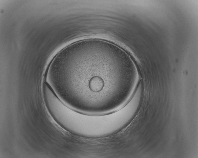 X0000085041516200703121420