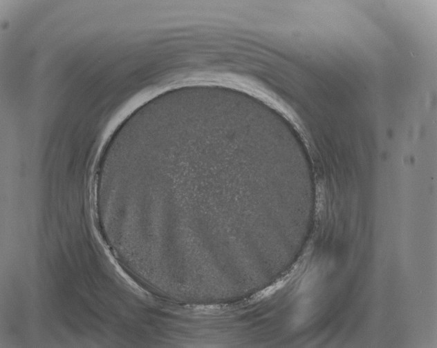 X0000085041517200703121420