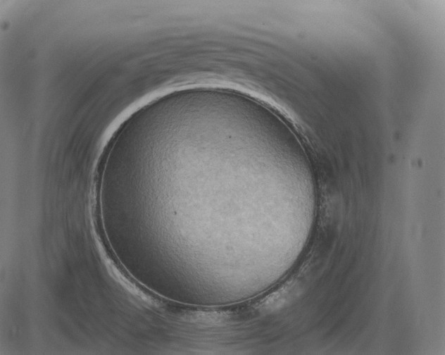 X0000085041518200703121420