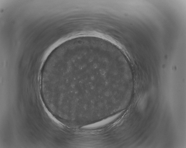 X0000085041519200703121420