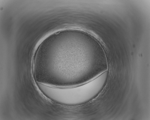 X0000085041520200703121420