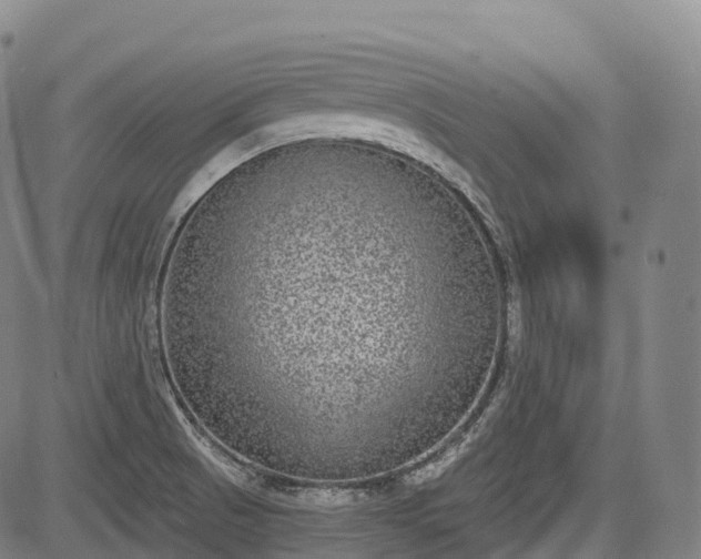 X0000085041521200703121420