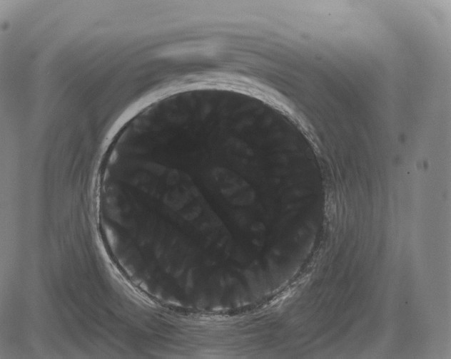 X0000085041522200703121420