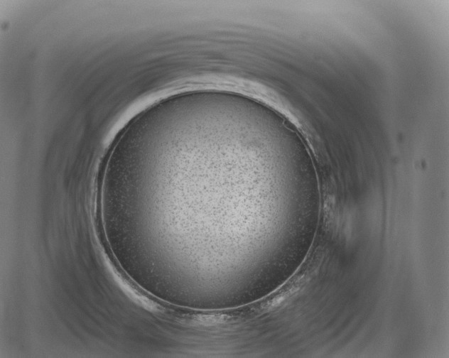 X0000085041523200703121420