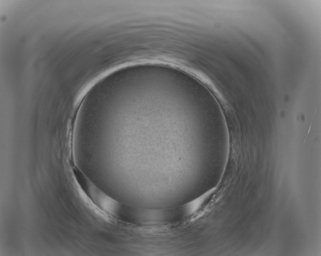 X0000085041524200703121420