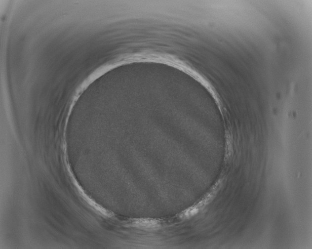 X0000085041525200703121420