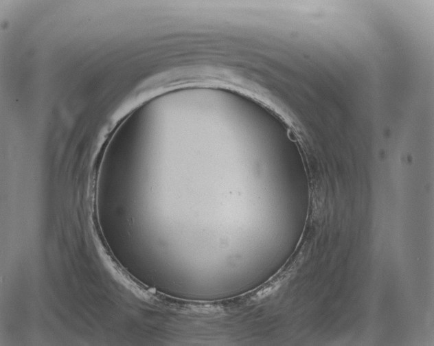 X0000085041526200703121420