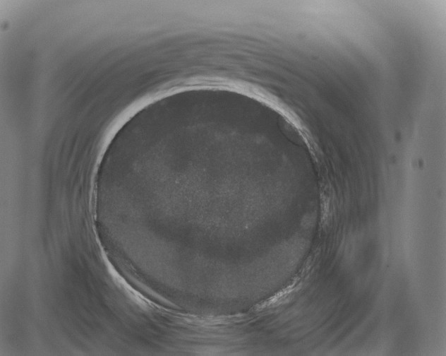 X0000085041527200703121420