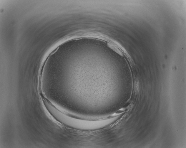 X0000085041528200703121420