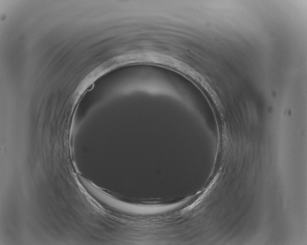 X0000085041529200703121420