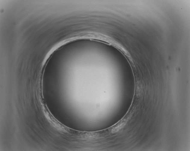 X0000085041530200703121420