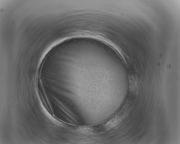 X0000085041531200703121420