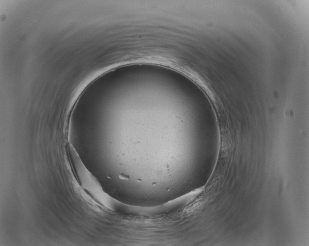 X0000085041532200703121420