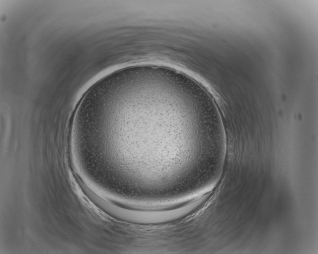 X0000085041534200703121420