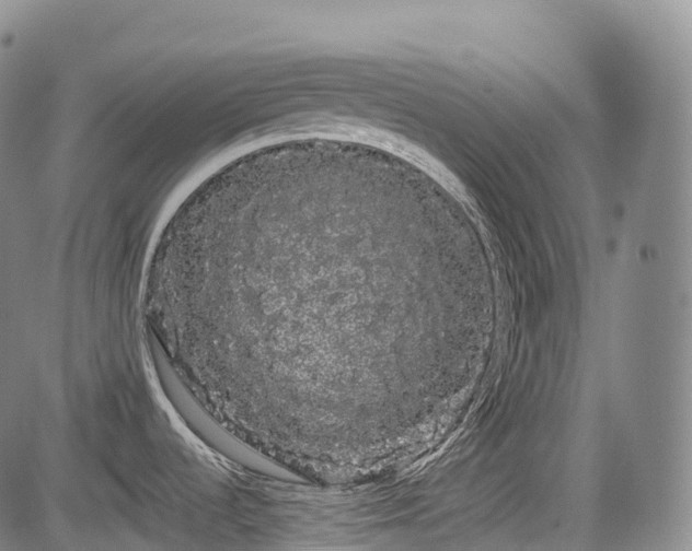 X0000085041536200703121420