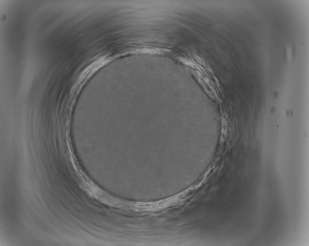 X0000085040001200703191245