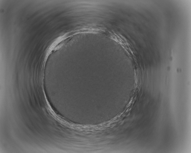 X0000085040003200703191245