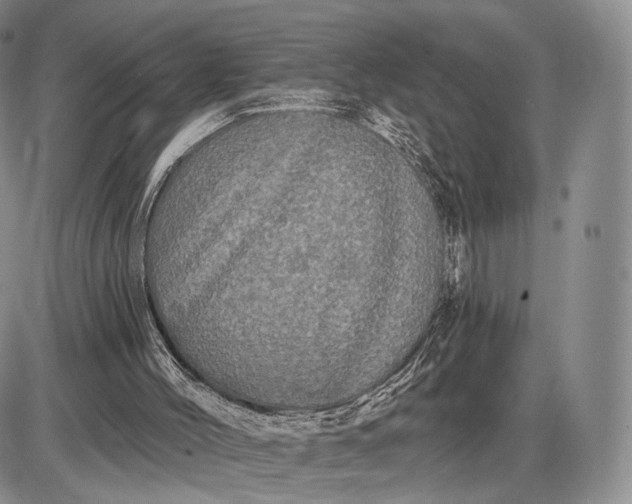 X0000085040004200703191245