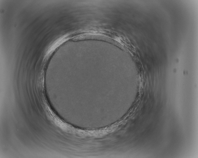 X0000085040005200703191245