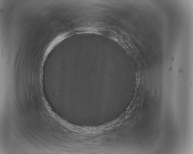 X0000085040006200703191245