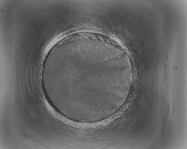 X0000085040007200703191245