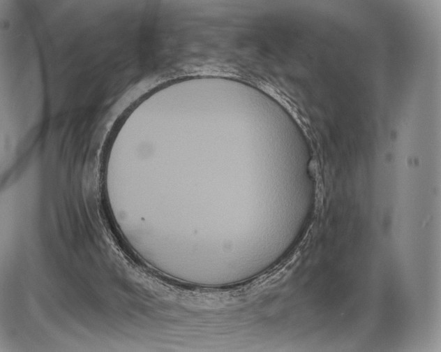 X0000085040008200703191245