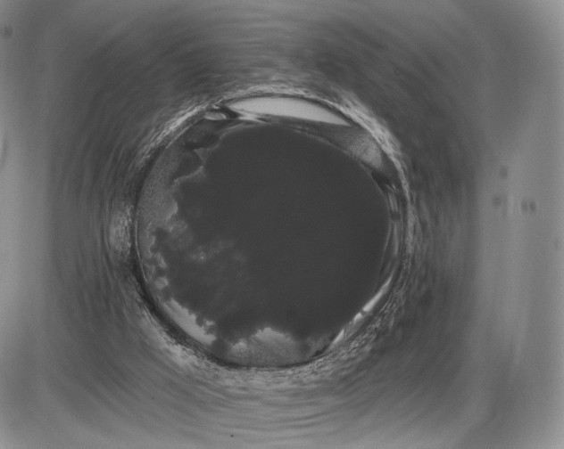 X0000085040009200703191245