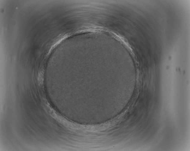 X0000085040010200703191245