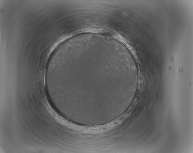 X0000085040011200703191245