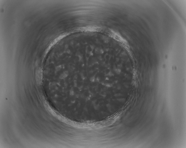 X0000085040012200703191245