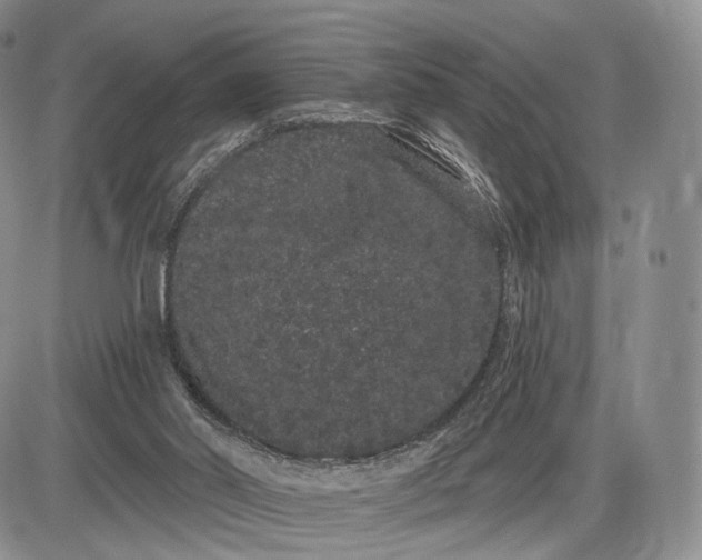 X0000085040014200703191245