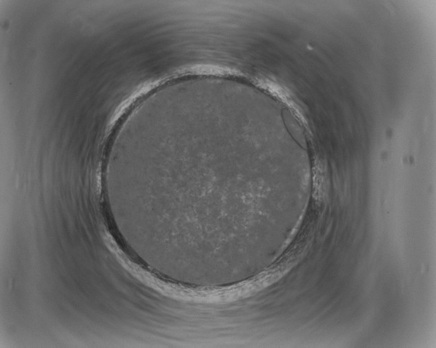 X0000085040015200703191245