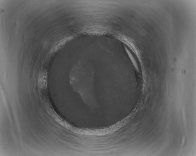 X0000085040017200703191245