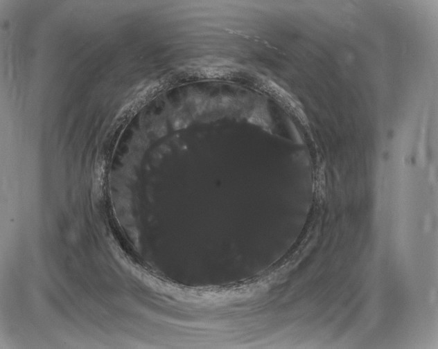 X0000085040018200703191245