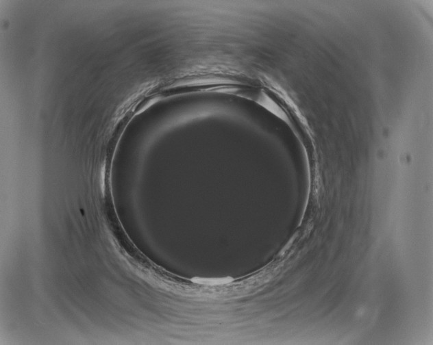 X0000085040019200703191245