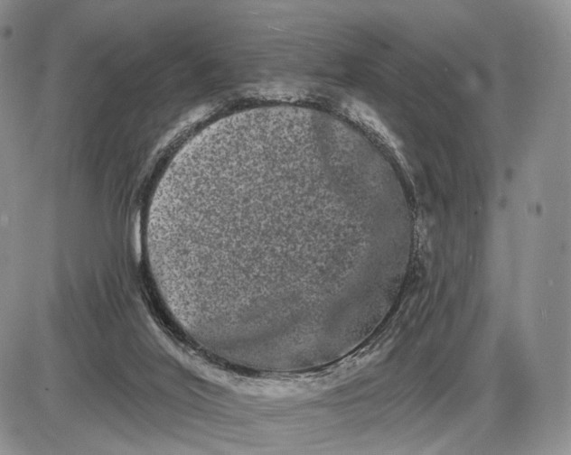 X0000085040020200703191245